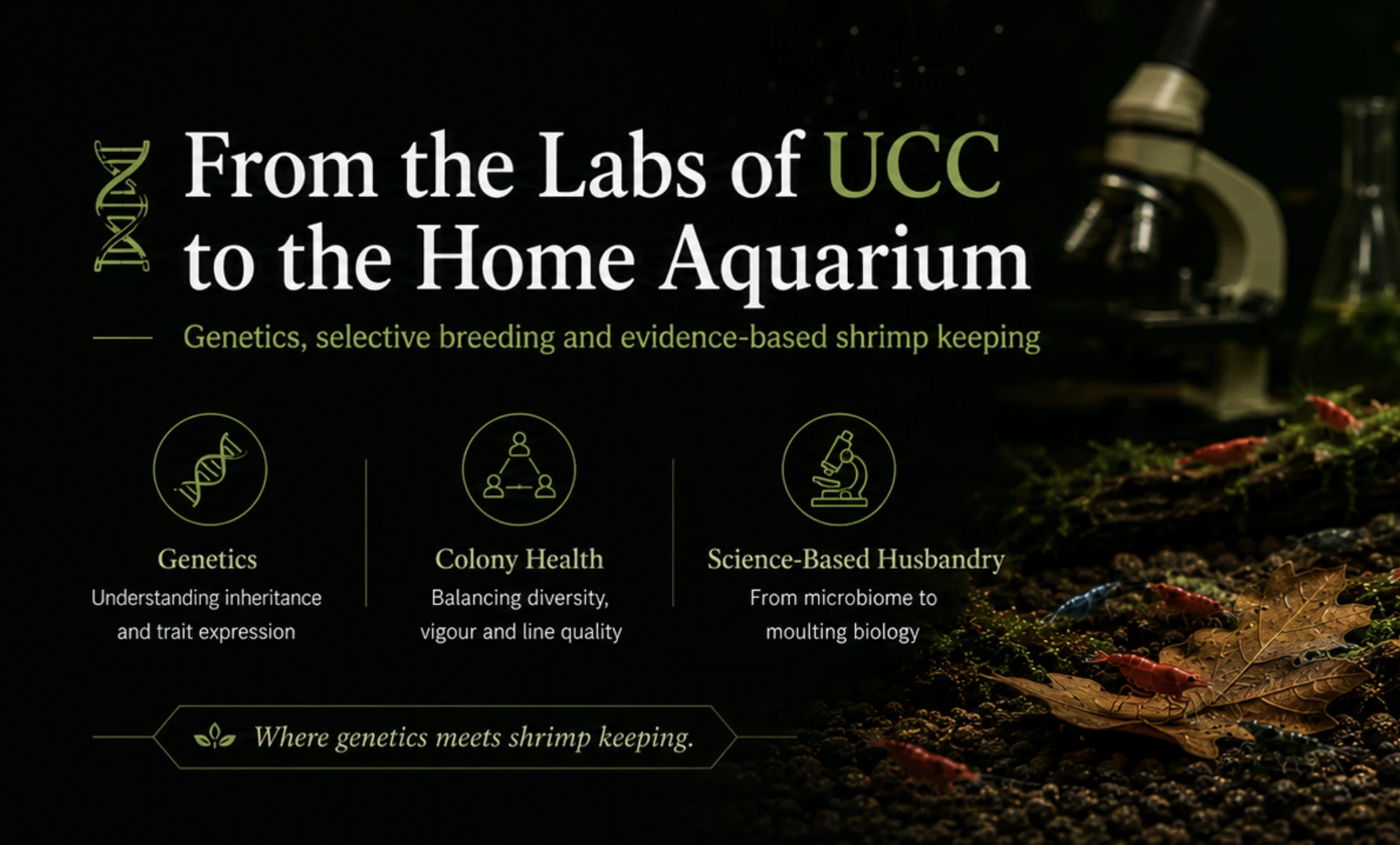Introduction: From the Labs of UCC to the Home Aquarium